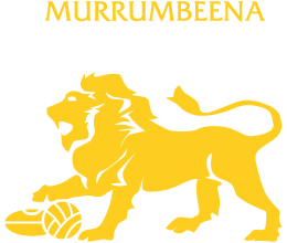 Mfnc Logo 2025